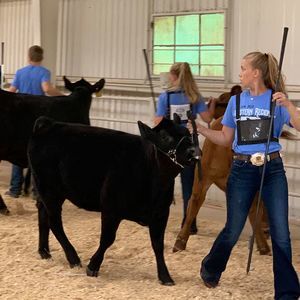 Meet your Posher, Jessie